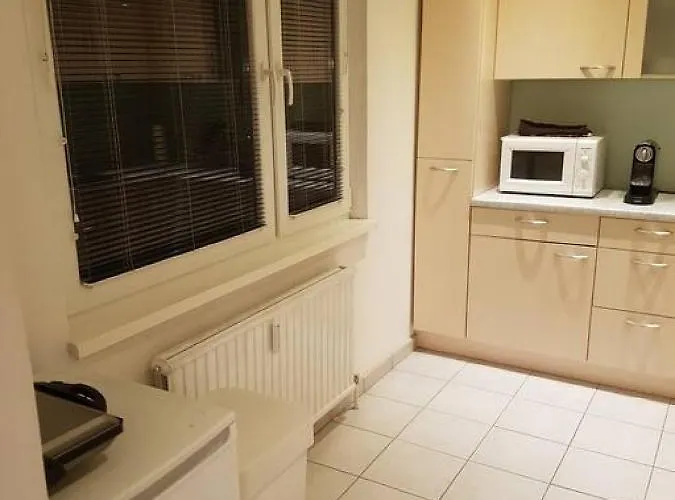 Esslinger Hauptstr Spacious With Loggia * Viyana